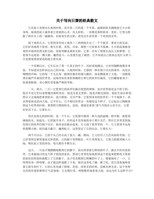 关于写向日葵的经典散文