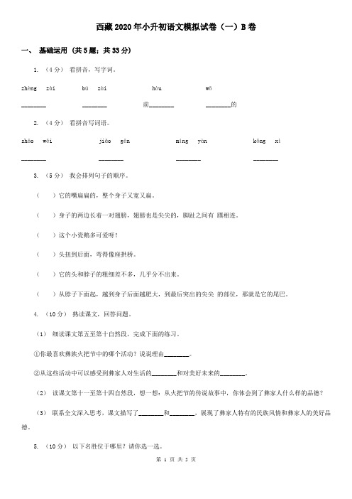 西藏2020年小升初语文模拟试卷(一)B卷(精编)