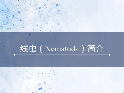 线虫(Namatoda)简介