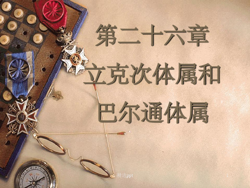 立克次体属和巴尔通体属ppt课件