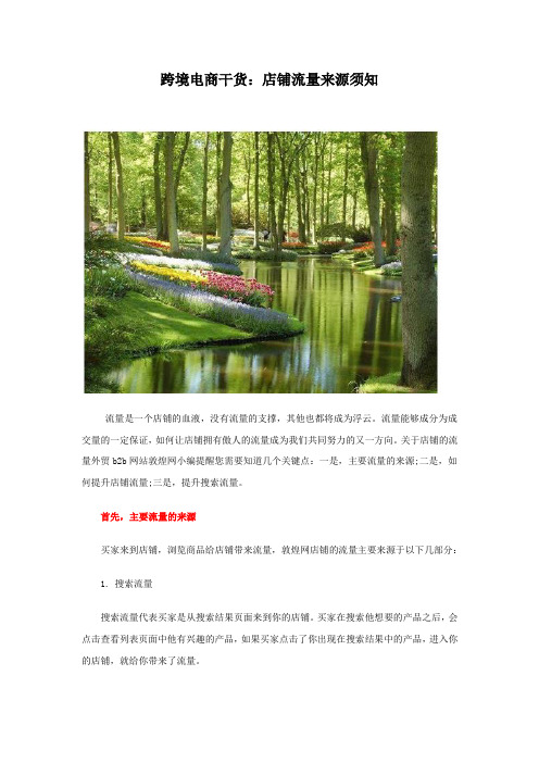 跨境电商干货：店铺流量来源须知