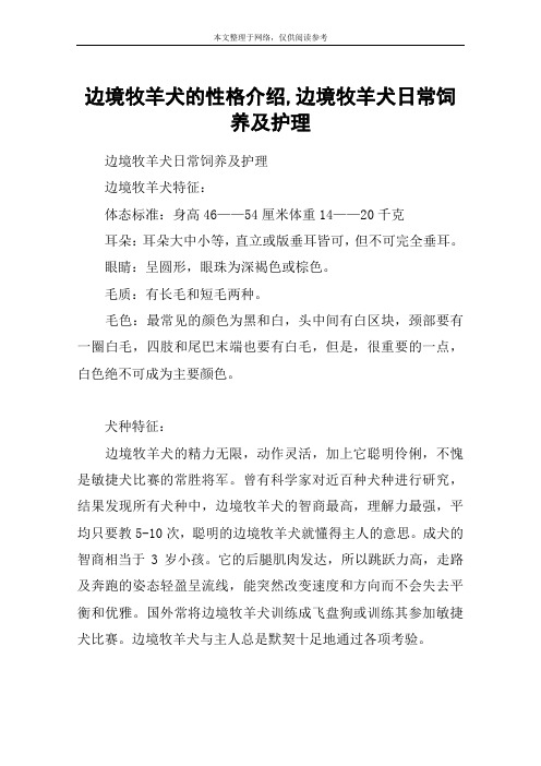 边境牧羊犬的性格介绍,边境牧羊犬日常饲养及护理
