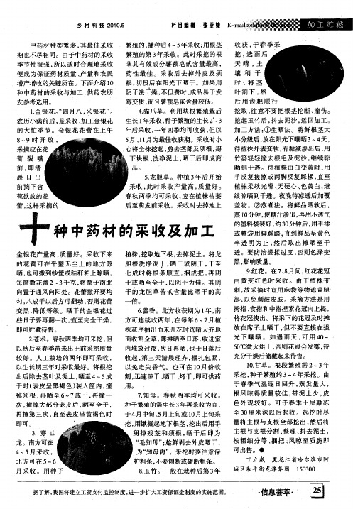 十种中药材的采收及加工
