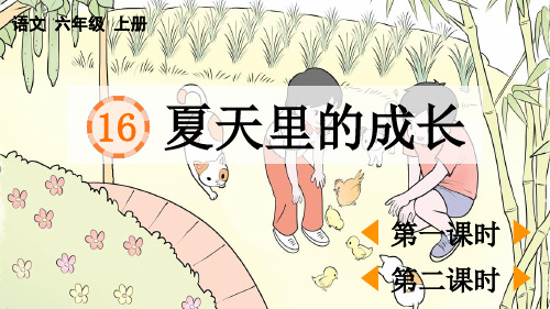 统编版六年级上册语文《 夏天里的成长》【优质版】PPT课件(完整版)