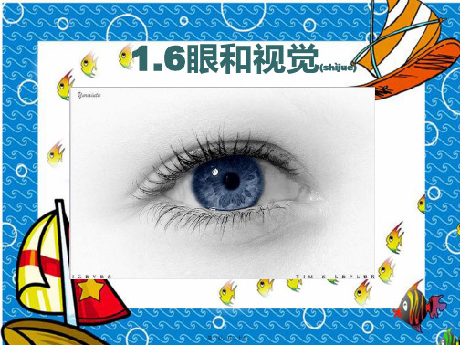 七年级科学 1.6《眼和视觉》课件(2)