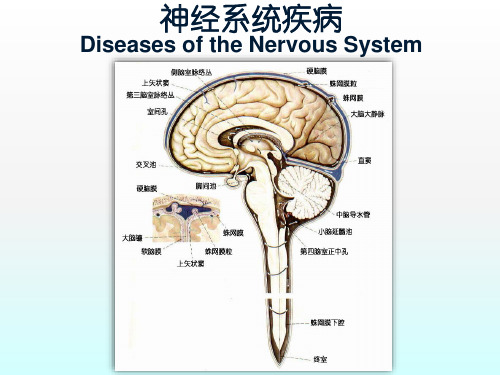 【 病理PPT课件】神经系统疾病