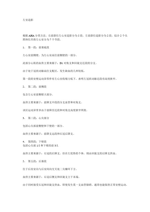 左室造影