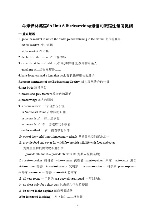 牛津译林英语8A Unit 6 Birdwatching词组、句型、语法复习提纲