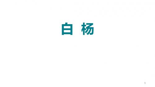 五年级下册语文课件-3.白杨(第1课时)｜人教新课标 (共20张PPT)