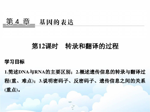 高中生物必修二课件：4.1.1 转录和翻译的过程