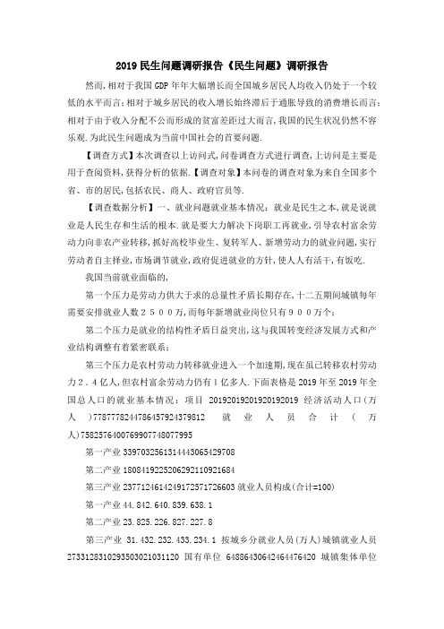 2019民生问题调研报告 《民生问题》调研报告 精品