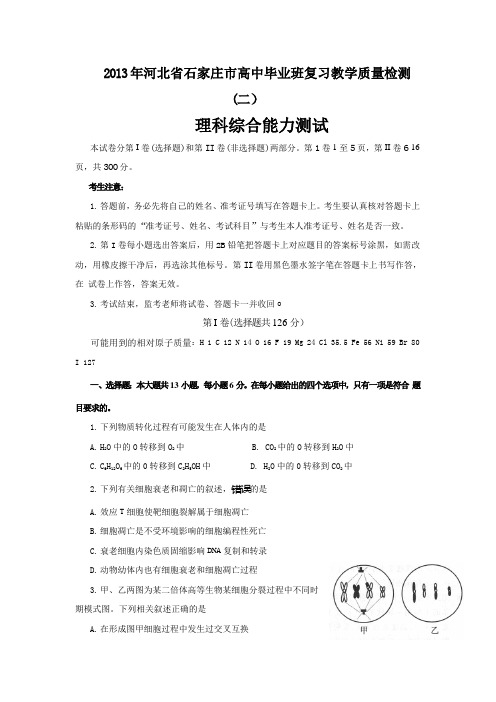 2013年河北省石家庄市高中毕业班复习教学质量检测理科综合能力测试