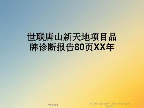 世联唐山新天地项目品牌诊断报告80页XX年