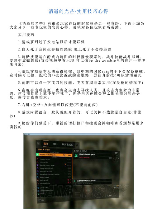 消逝的光芒实用技巧心得