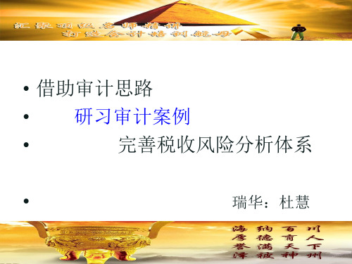 完善税收风险分析体系课件