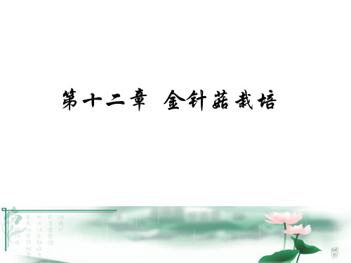 第十二章 金针菇栽培