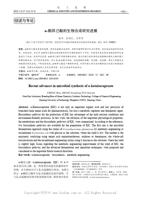 α-酮异己酸的生物合成研究进展