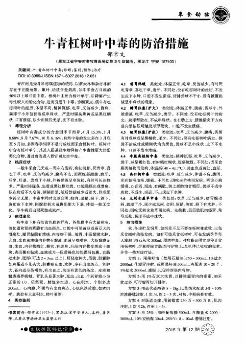 牛青杠树叶中毒的防治措施