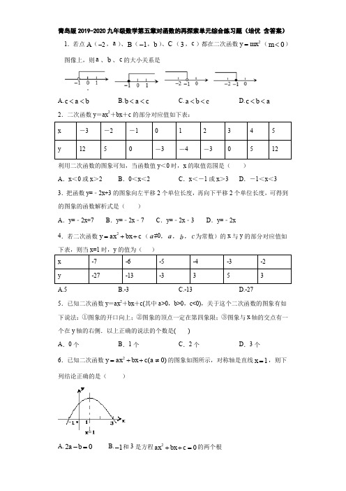 青岛版2019-2020九年级数学第五章对函数的再探索单元综合练习题(培优 含答案)