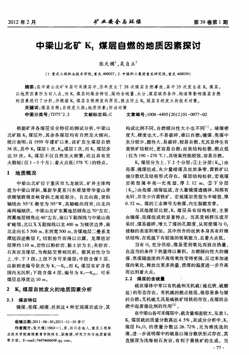 中梁山北矿K_1煤层自燃的地质因素探讨