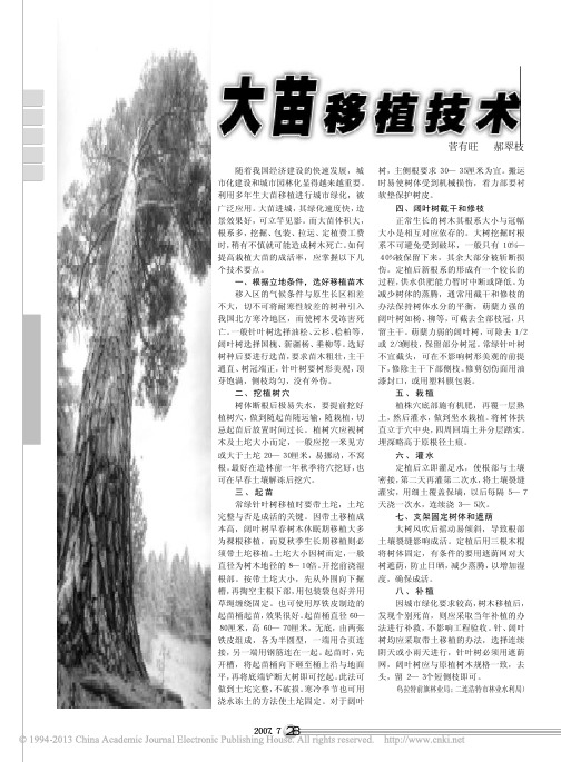 大苗移植技术 (1)
