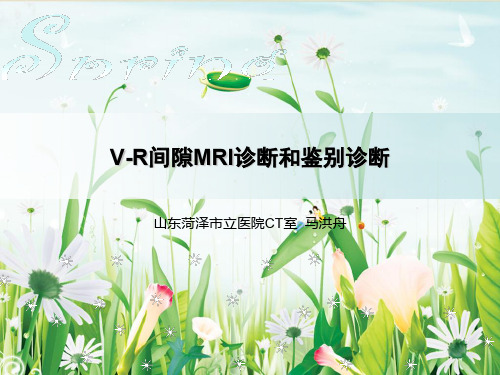 VR间隙(推荐文档)