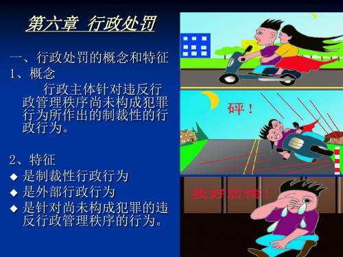 行政法学之行政处罚(PPT 49页)