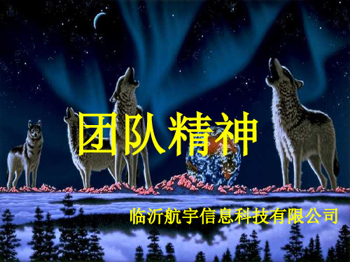 狼--团队精神资料