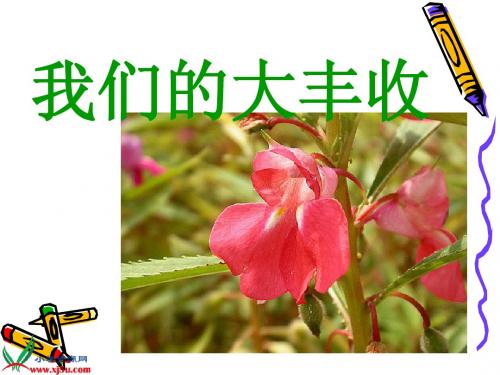 1-7我们的大丰收