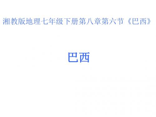 湘教版七年级下第八章第六节巴西说课课件  (共43张PPT)