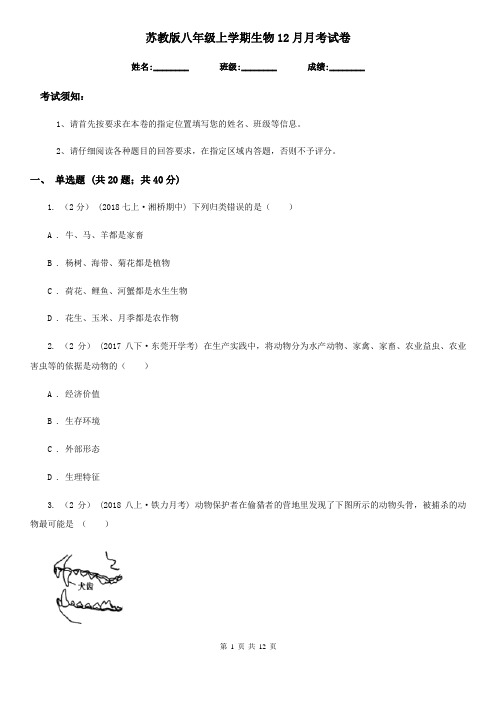 苏教版八年级上学期生物12月月考试卷