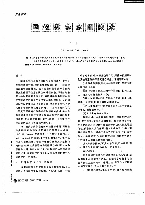 图像数字水印技术
