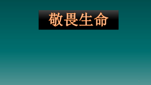 五年级上册心理健康教育课件-敬畏生命 全国通用(共11张PPT)