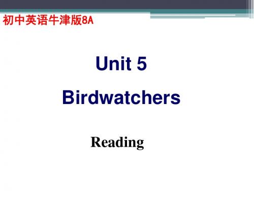 英语教学课件系列 Birdwatchers 观鸟 阅读 Reading