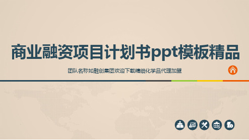 商业融资项目计划书ppt模板精品