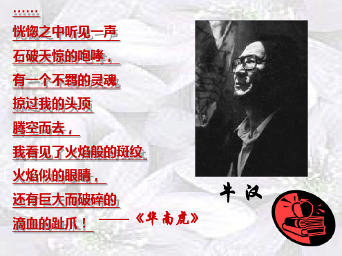 八年级语文下册我的第一本书课件