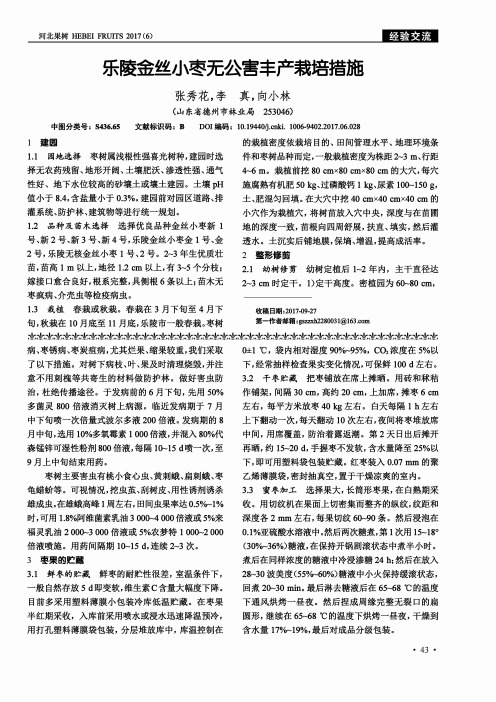 乐陵金丝小枣无公害丰产栽培措施