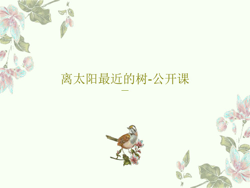 离太阳最近的树-公开课PPT共29页