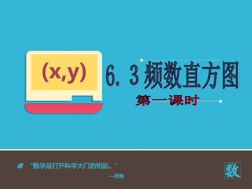 6.3《频数直方图》第一课时课件