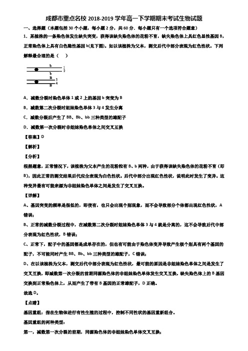 成都市重点名校2018-2019学年高一下学期期末考试生物试题含解析