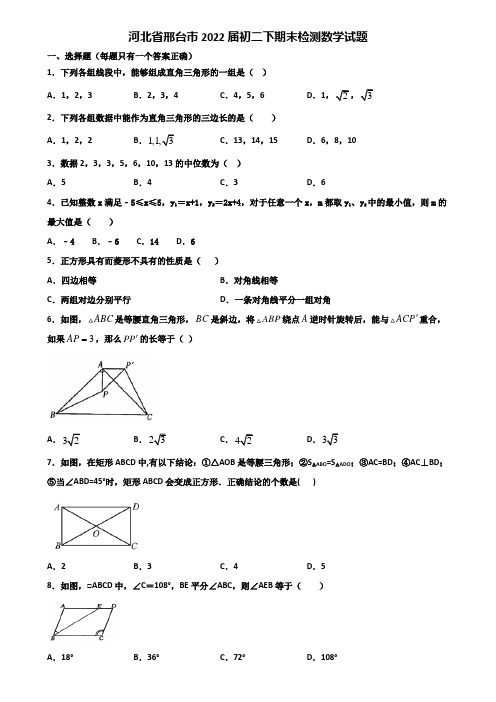 河北省邢台市2022届初二下期末检测数学试题含解析