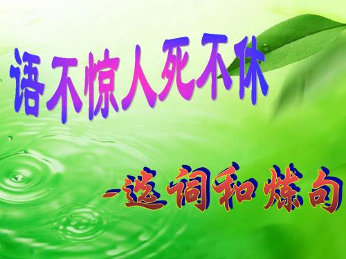 高中语文人教版选修大全《语不惊人死不休——选词和炼句》课件