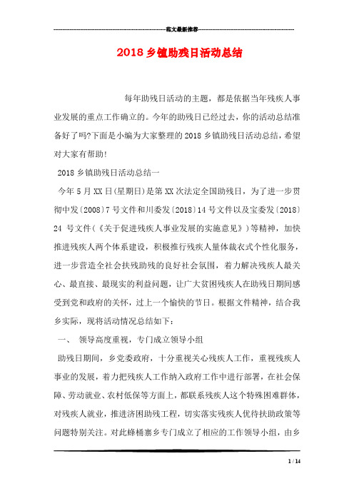 2018乡镇助残日活动总结