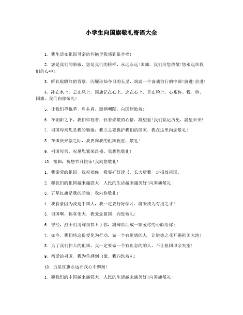 小学生向国旗敬礼寄语大全