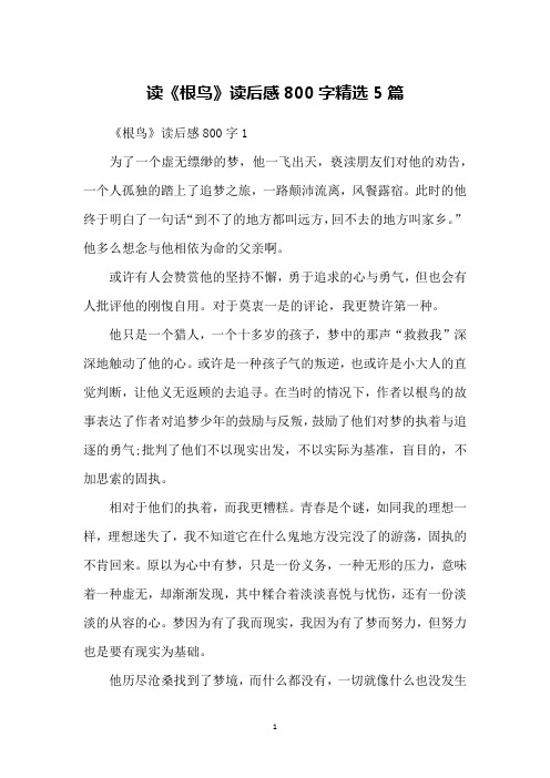 读《根鸟》读后感800字精选5篇
