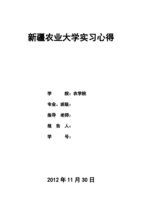 新疆农业大学农学小麦研究实习心得