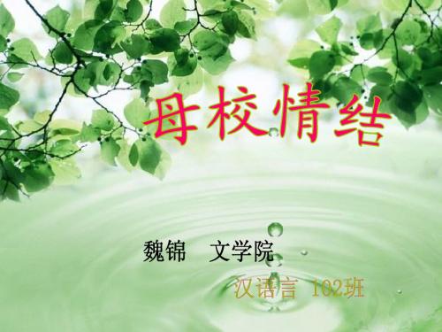 母校情结