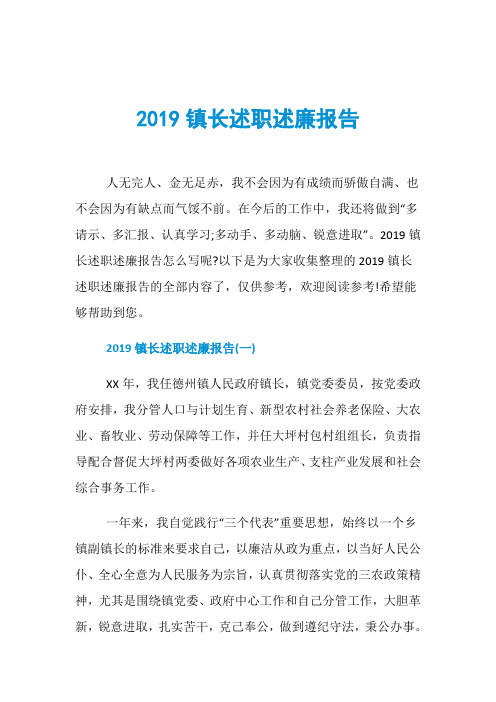 2019镇长述职述廉报告
