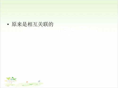 六年级上册科学-原来是相互关联的-教科版(共20张)-PPT课堂课件