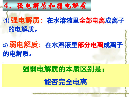 高中化学课件 离子反应-3